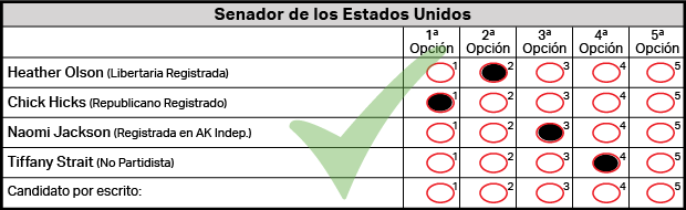 Correctly Marked Ballot